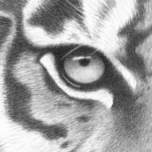 Meet your Posher, Jo